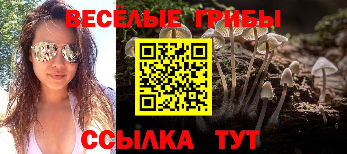 Галлюциногенные грибы Psilocybe Севастополь