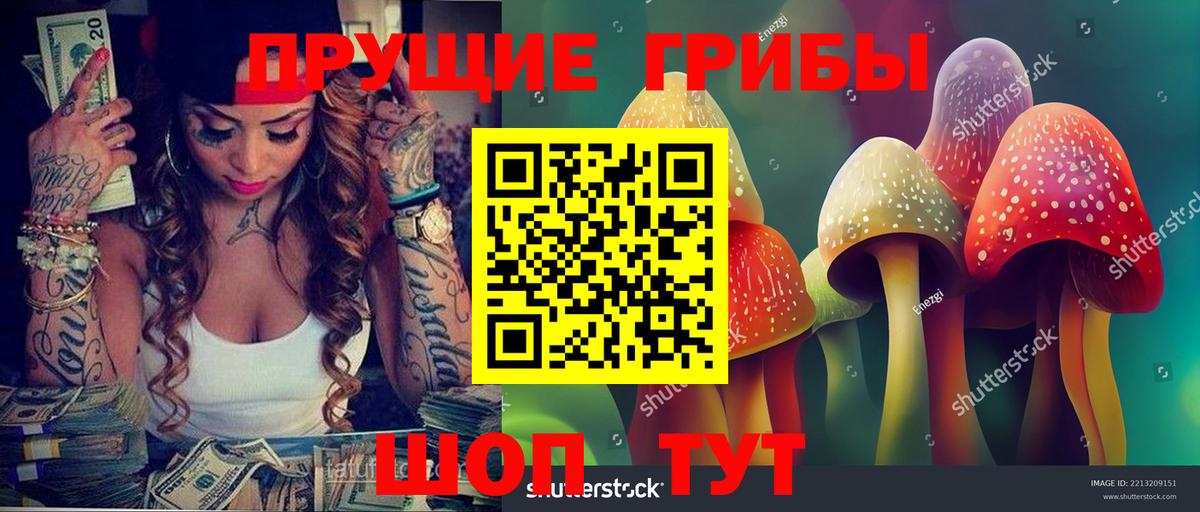 Севастополь  Галлюциногенные грибы Cubensis  Вход с VPN  Галлюциногенные грибы Psilocybe 